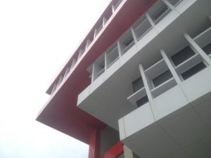 IMG 0305 300x225 - IMG_0305