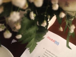 IMG 0798 300x225 - IMG_0798