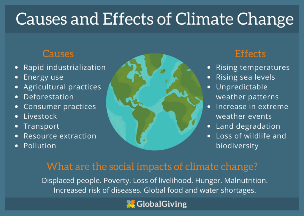 Causes and Effects Climate Change Chart 1024x727 - 4 Hal Kecil untuk Selamatkan Bumi dari Perubahan Iklim